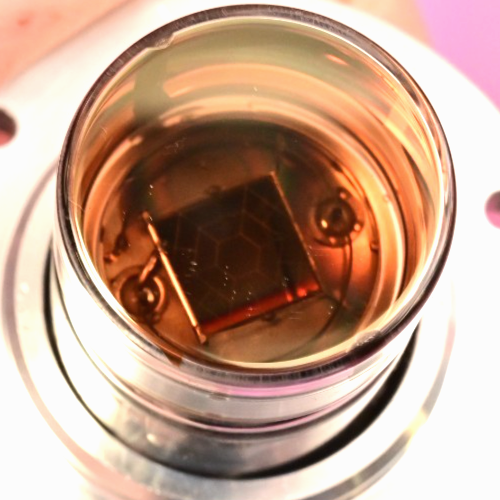 Waters Micromass Mass Spectrometer PMT Assembly High Vacuum Photomultiplier Tube